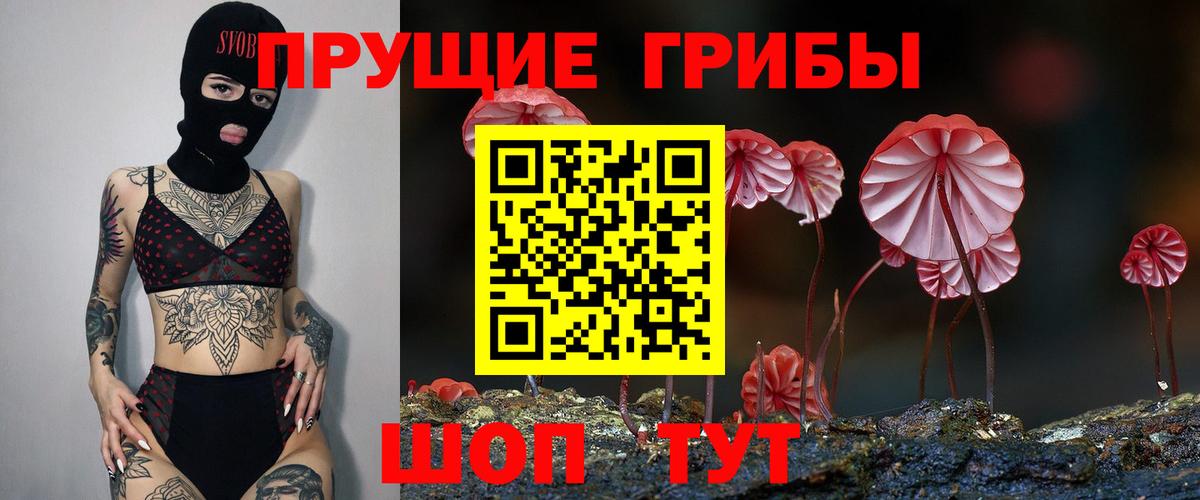 что такое наркотик  Вход с VPN  Новороссийск  Галлюциногенные грибы MAGIC MUSHROOMS 