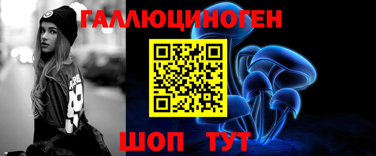 Псилоцибиновые грибы Psilocybine cubensis Новороссийск
